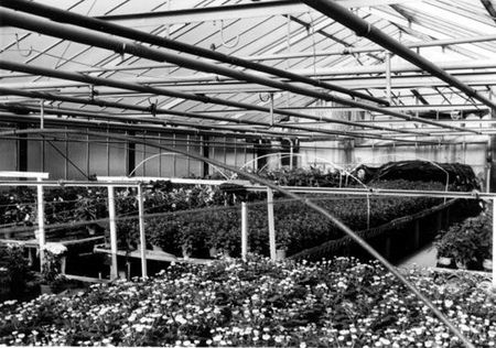 Familienbetrieb Kistenmacher